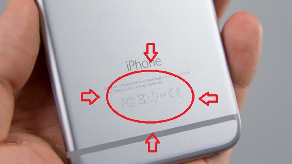 أنظروا الى الوجه الخلفي من آيفون