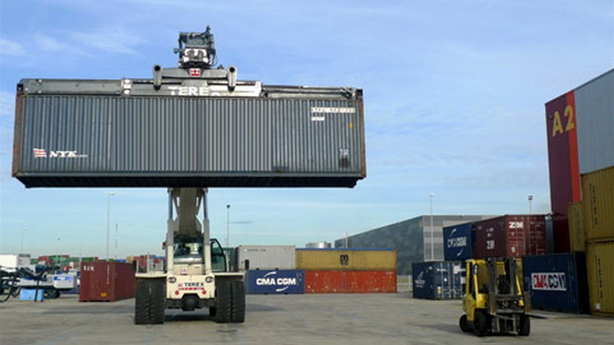 الحشرات المسافرة مع البضائع تغزو المدن وتُخَسِّرها