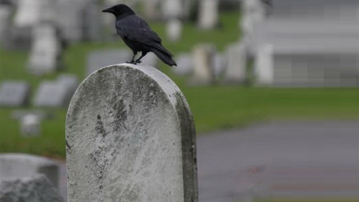 يجنون الملايين وهم اموات