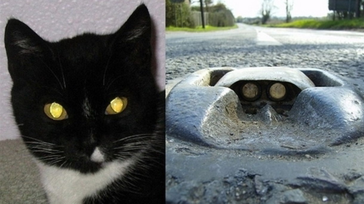 مئة جسر للمشاة في لبنان والـ Cat Eye على الطرق