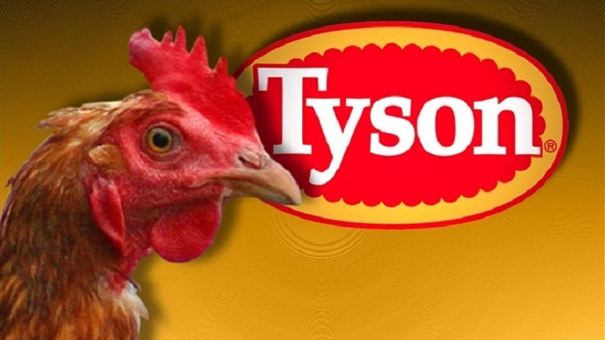 الدجاج يقود تايسون فودز الى القضاء
