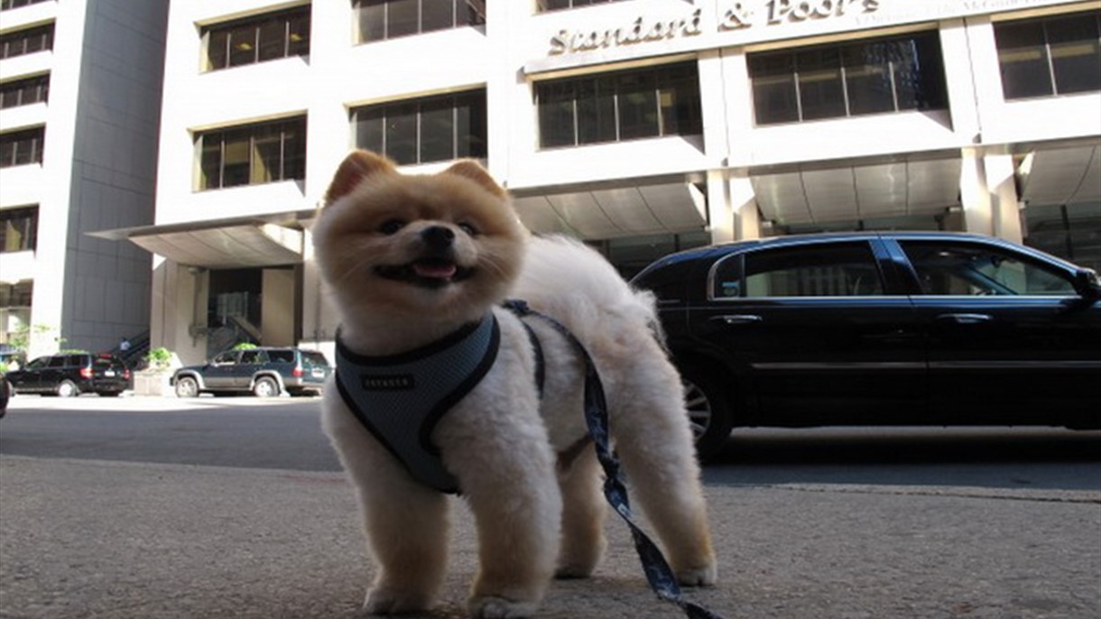 قيمة S&P لأول مرة 20 ألف مليار دولار