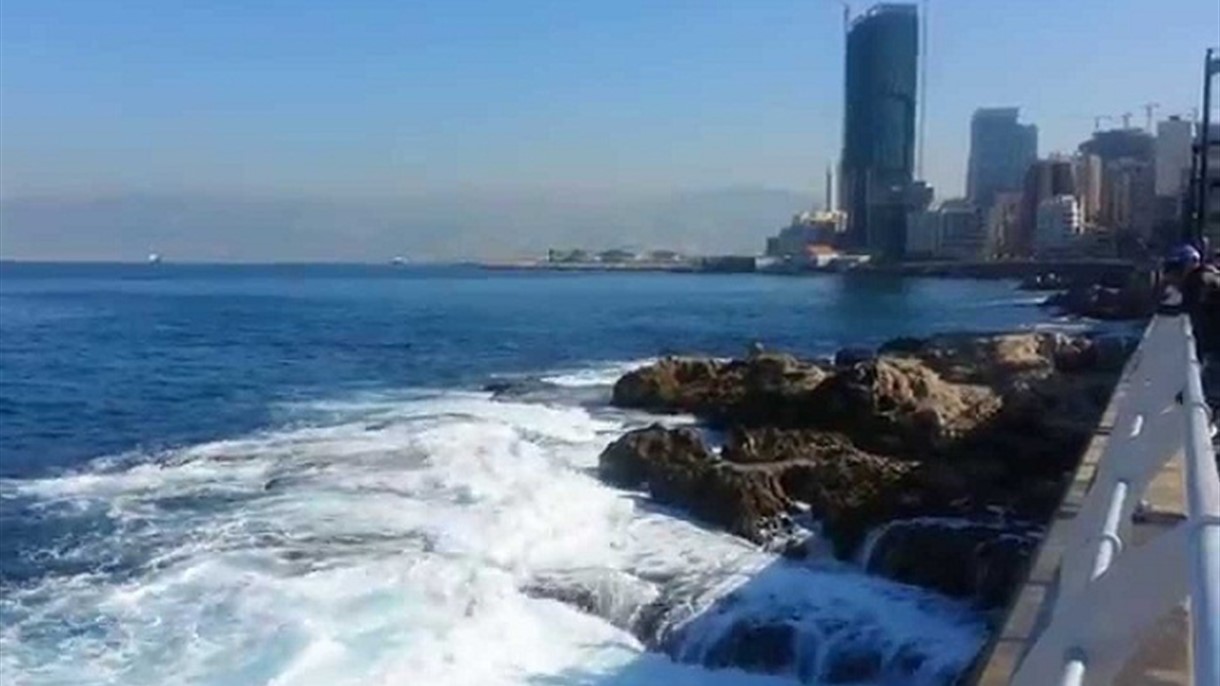 حالة نفوق جديدة في بحر بيروت