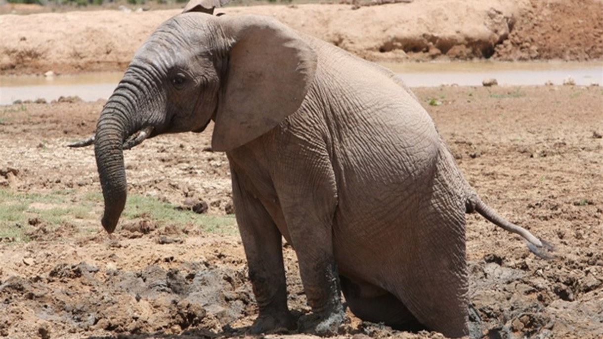 هذا ما تحتاج اليه منطقة اليورو