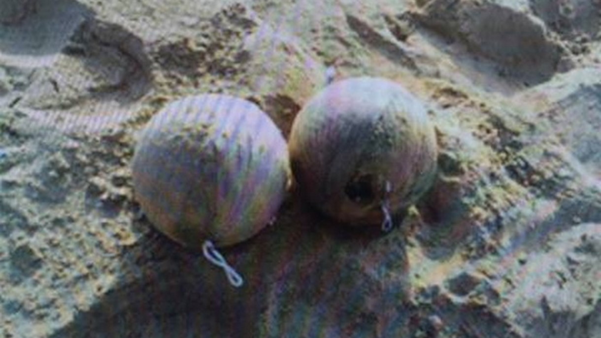 هذه حقيقة الكرات التي وُجدت على شاطىء صور