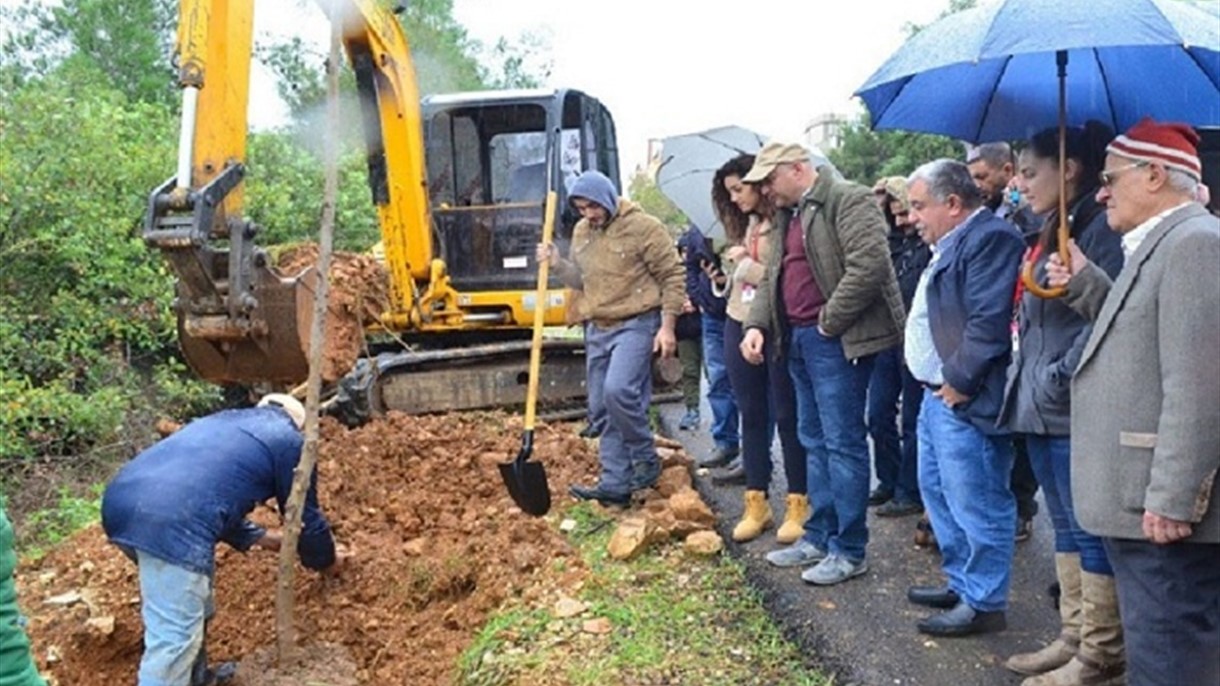 حملة تشجير في دلهون