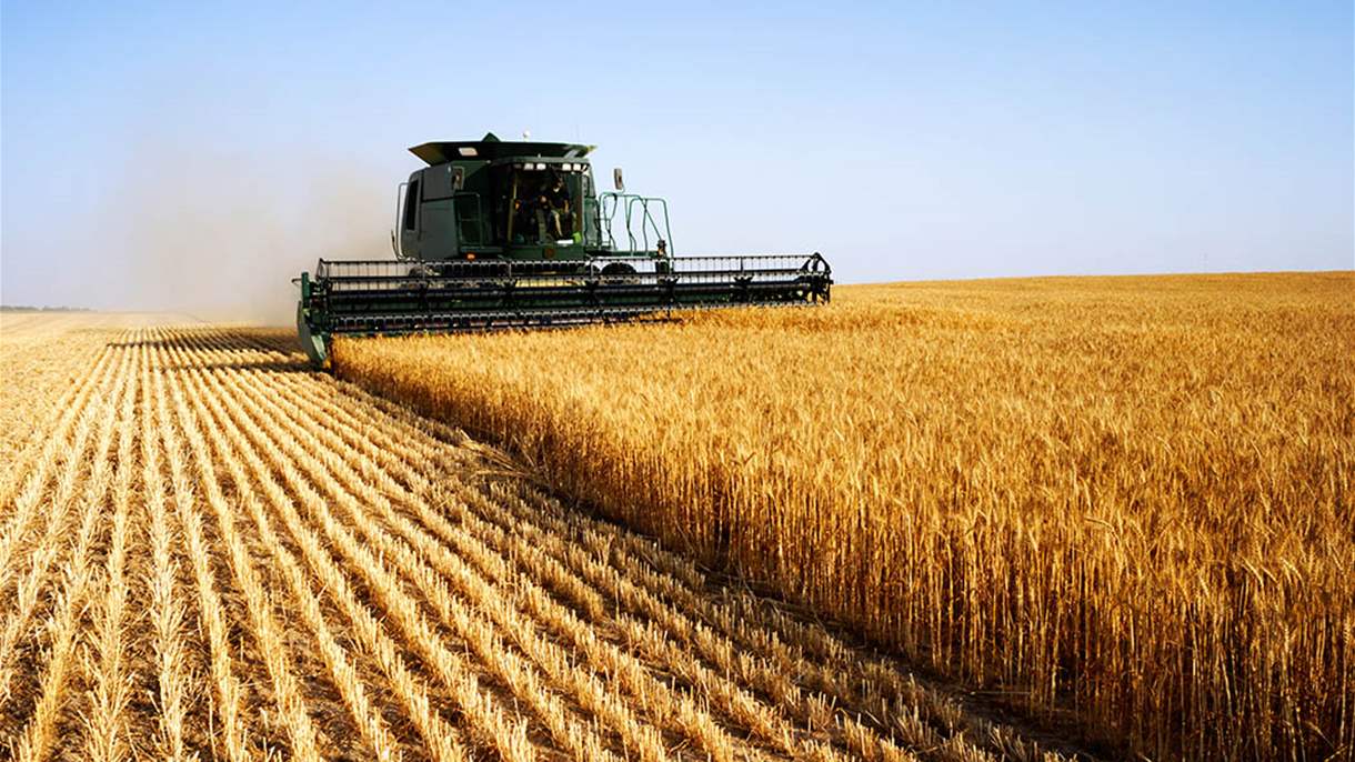 هجوم نوفوروسيسك يهزّ أسواق القمح