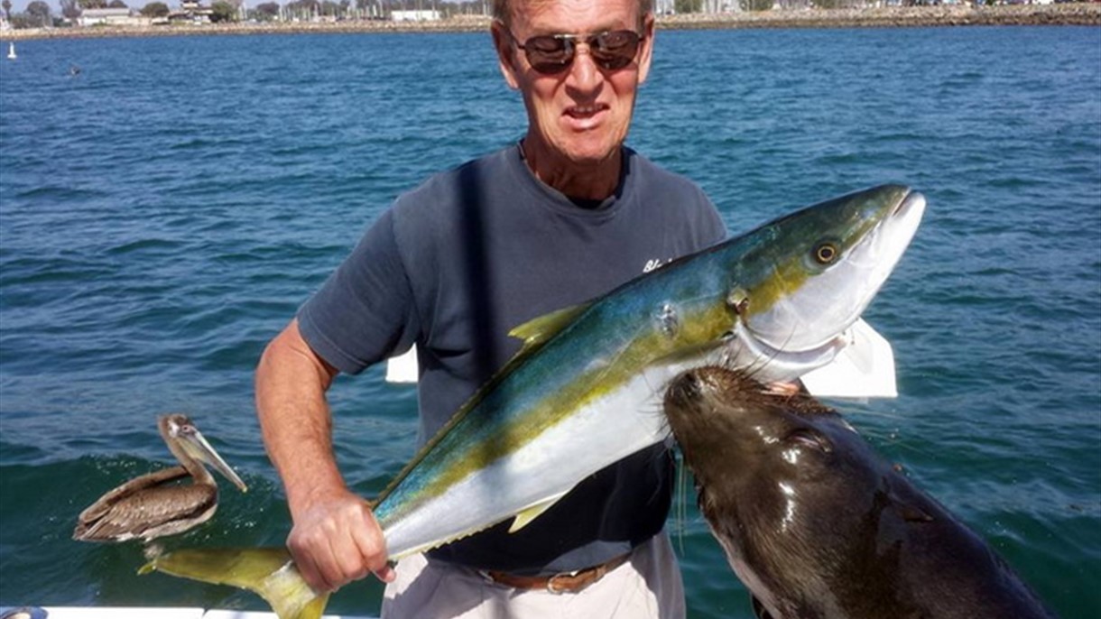 هذا ما حصل لصياد هاجمه أسد البحر على يخته