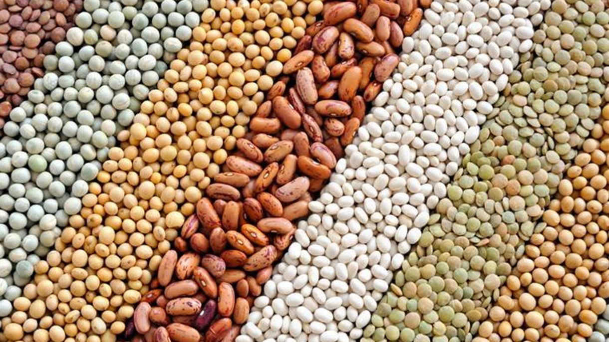 الحبوب تغيّر معادلة الاسعار العالمية للغذاء