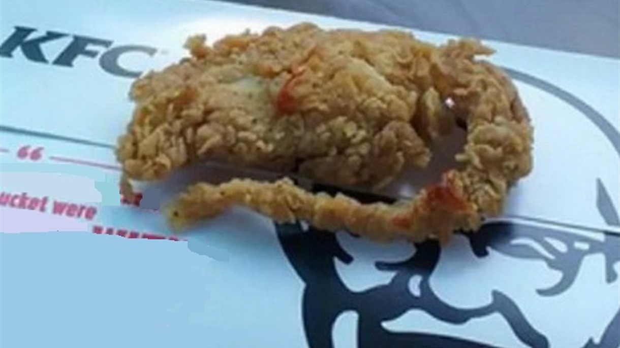 دعوى على كنتاكي بسبب وجبة تحوي فأرة !