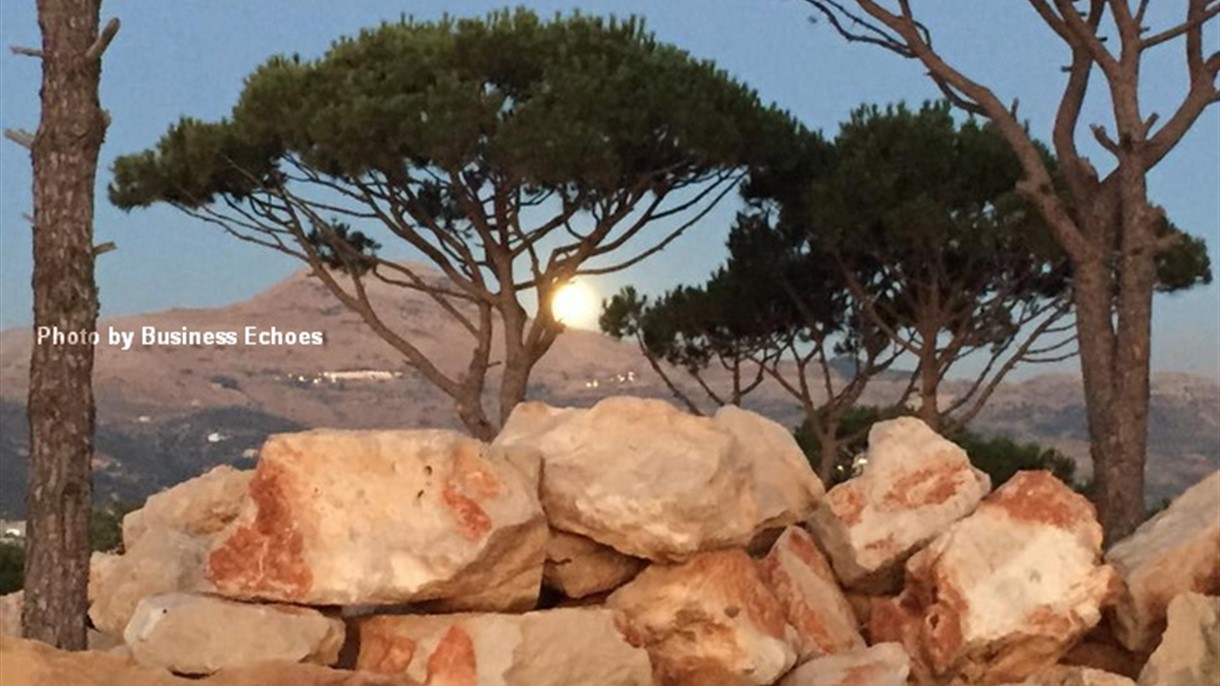 الفاو تقيم ورش عمل لادارة غابات الصنوبر في لبنان