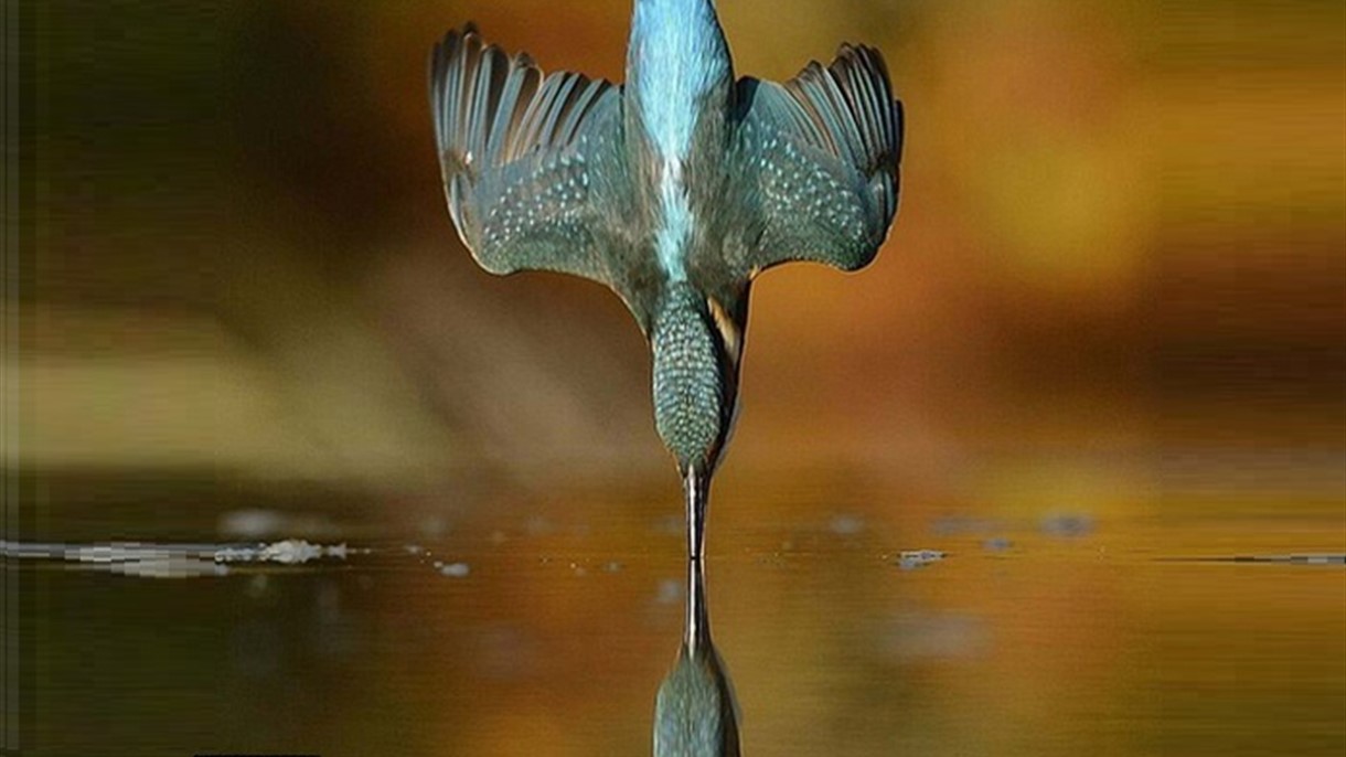 واخيرا بعد ست سنوات ...