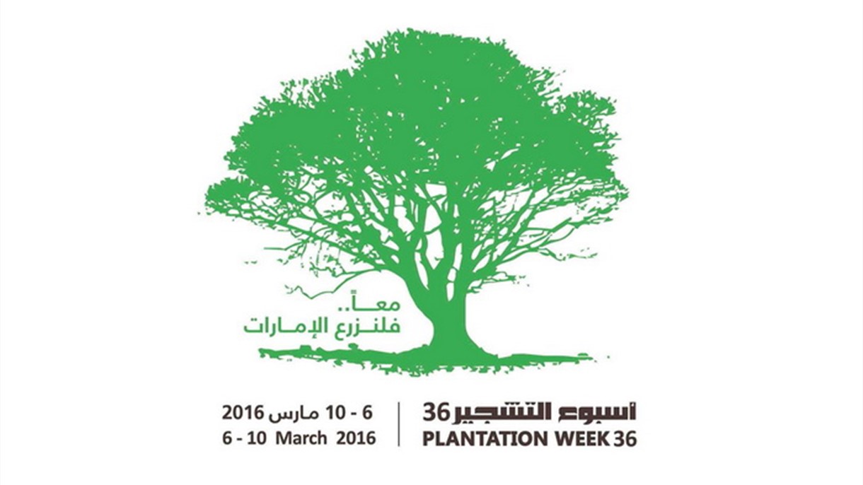 المساحات الخضراء معياراً عالمياً في تصنيف المدن المستدامة والذكية