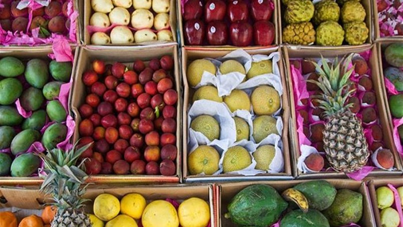 موضوع البضائع المرفوضة بين مصر وروسيا يتفاعل