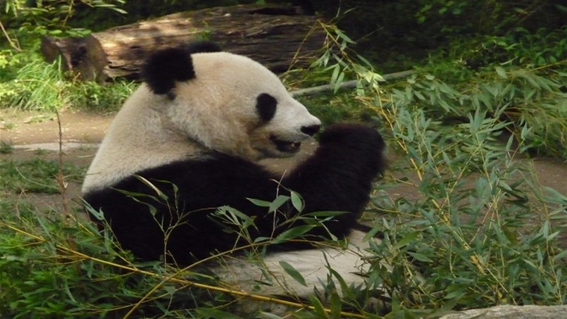 توفى بسبب هذا المرض