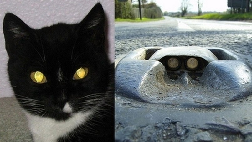 مئة جسر للمشاة في لبنان والـ Cat Eye على الطرق