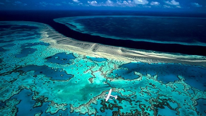 الفحم يهدد الشعب المرجانية في أستراليا