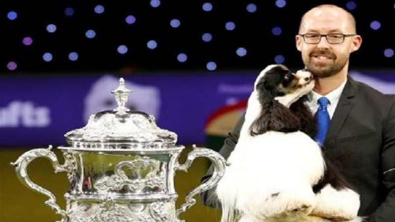 تعرفوا على الكلب الأكثر دلالاً في العالم