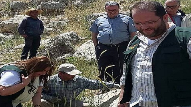 مبادرة لحماية زهرة السوسن في عاليه