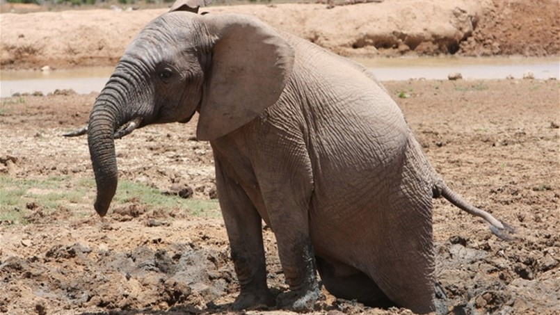 هذا ما تحتاج اليه منطقة اليورو