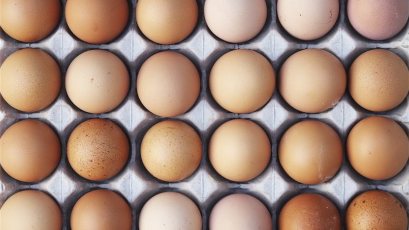 البيض يشغل بال أوروبا