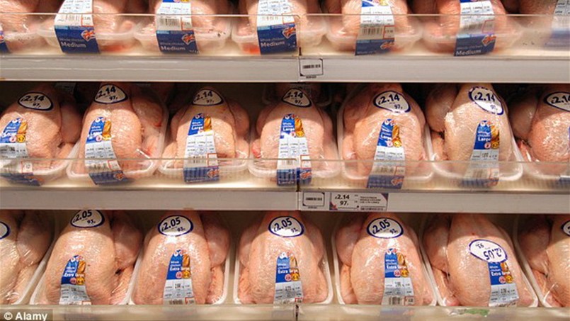 حتى في بريطانيا.. الدجاج يحتوي على بكتيريا قاتلة