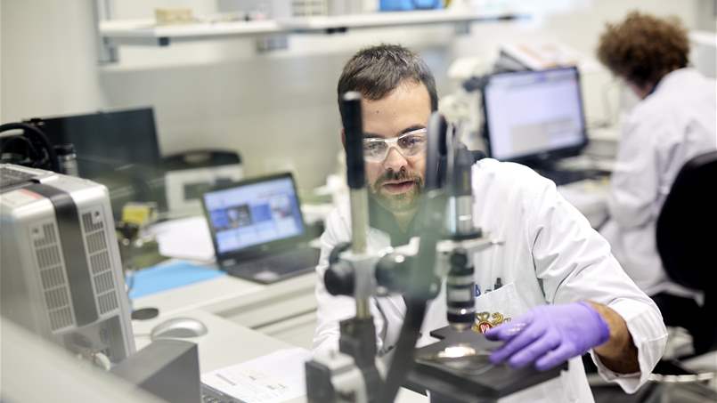 المنتجات البديلة.. اقصاء الحرق وتقليل انتاج المواد الكيميائية الضارة