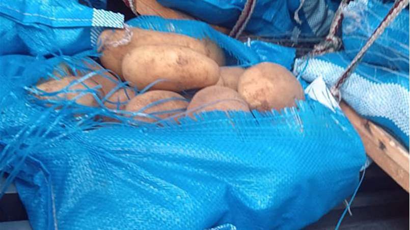 بطاطا بسعر الكلفة.. من هي المتاجر المشاركة؟