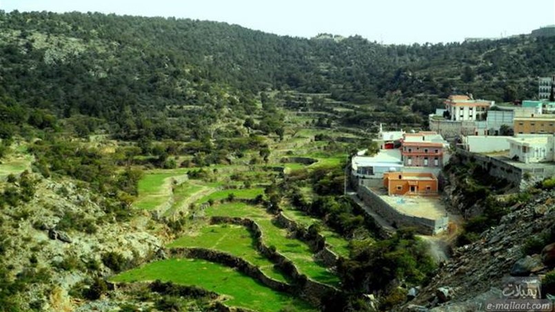 مدينة عسير تتهيأ لاطلاق الفرص السياحية