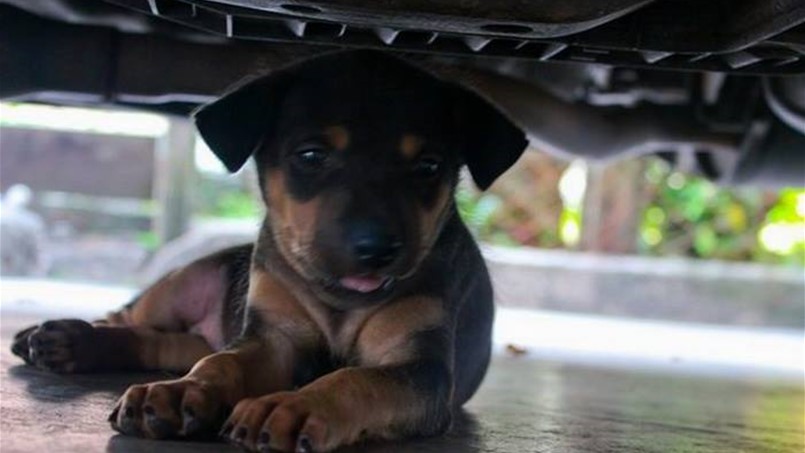 قوانين يجب ان تعرفها قبل ان تسافر