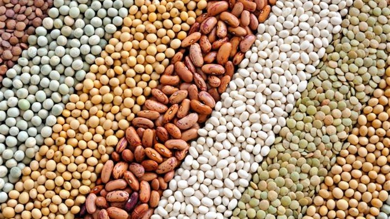 الحبوب تغيّر معادلة الاسعار العالمية للغذاء
