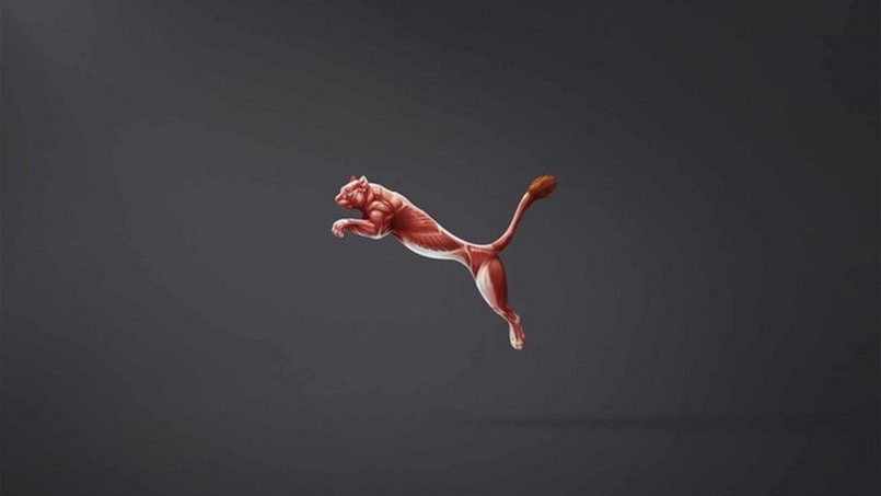 أرباح Puma  تتراجع