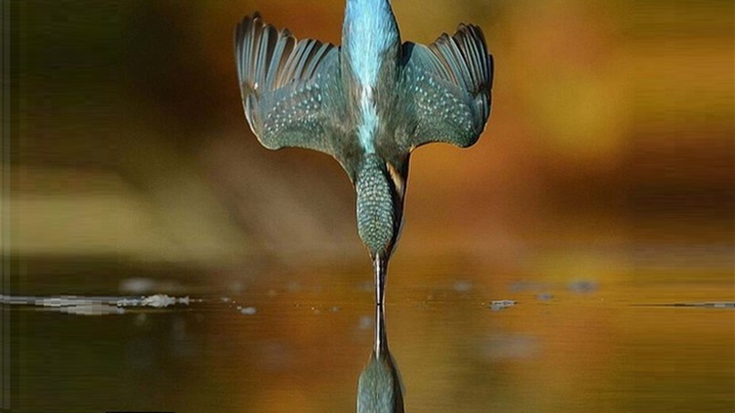 واخيرا بعد ست سنوات ...