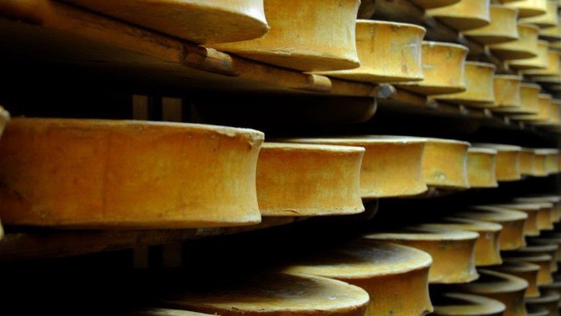 محطة كهربائية تنتج الكهرباء من الجبنة